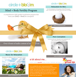 Circle + Bloom bundle image