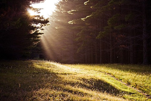 How to Trust Your Instincts