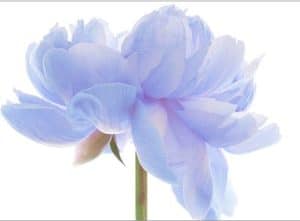 Screen shot 2010-10-22 at 4.37.56 PM