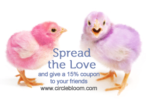Share the Love – Referral Program