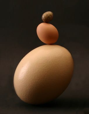 Does PCOS Affect a Woman’s Ability to Conceive?