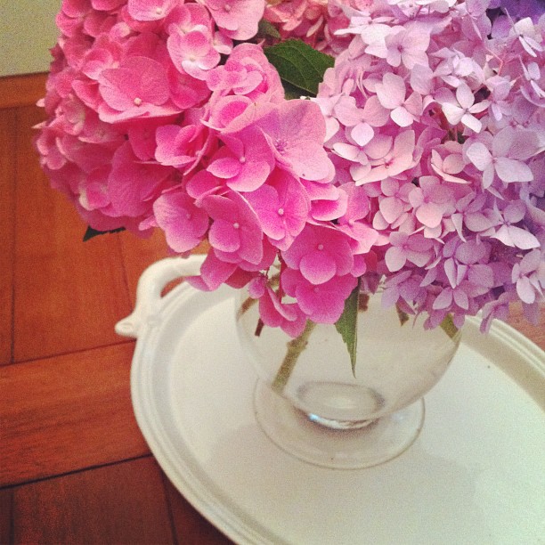 How I Learn from Fear