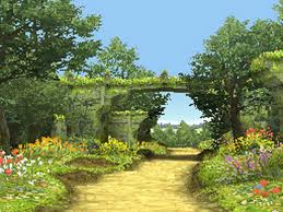 Following Your Yellow Brick Road