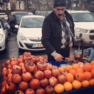 Circle+Bloom Around the World!