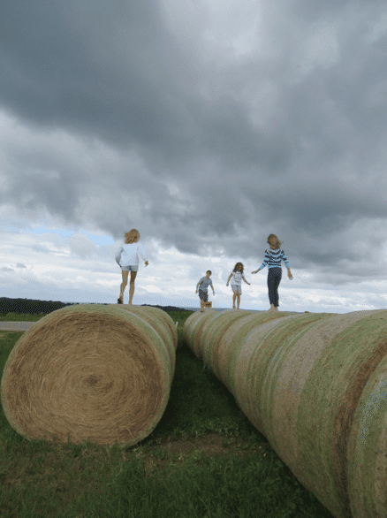 Not Easily Dispelled