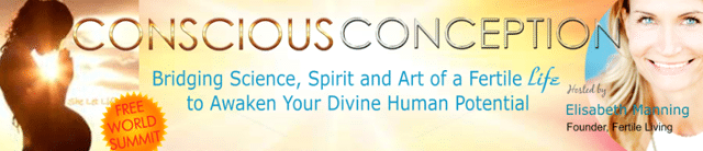 Free Conscious Conception Telesummit