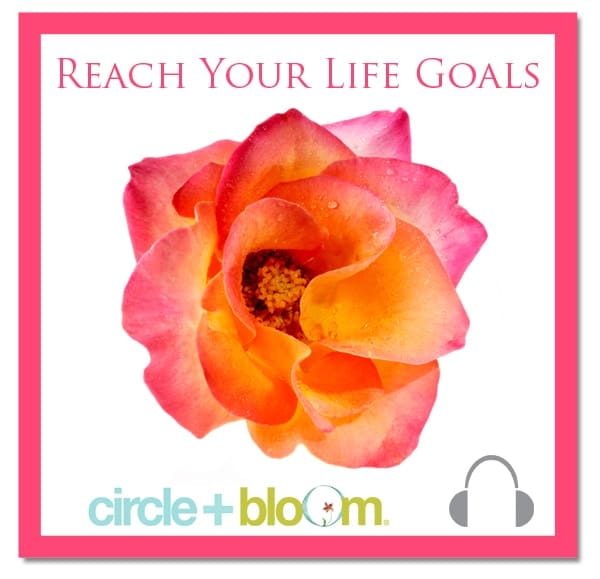 Circle+Bloom Reach Your Life Goals Visualization