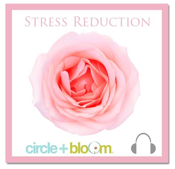 Circle + Blomo Stress Reduction Visualization