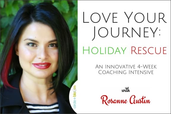 Rosanne Austin Love Your Journey Holiday Rescue