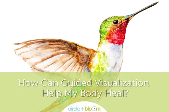 Circle+Bloom Guided Visualization