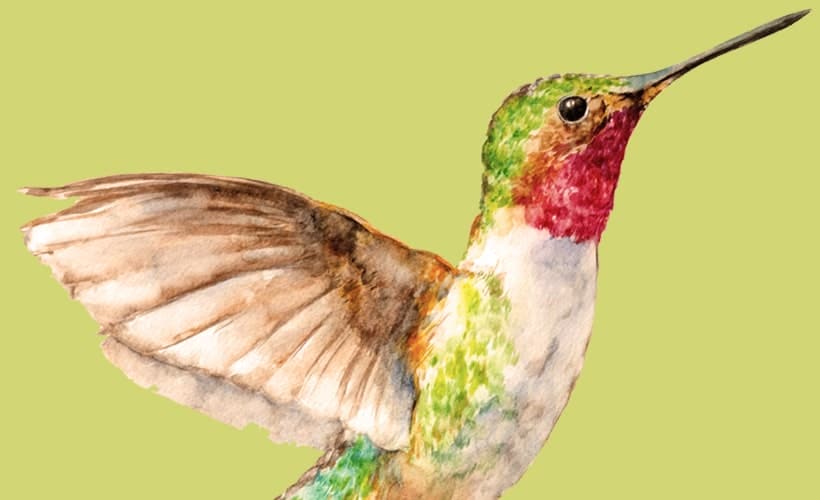 How Can Guided Visualization Help My Body Heal?