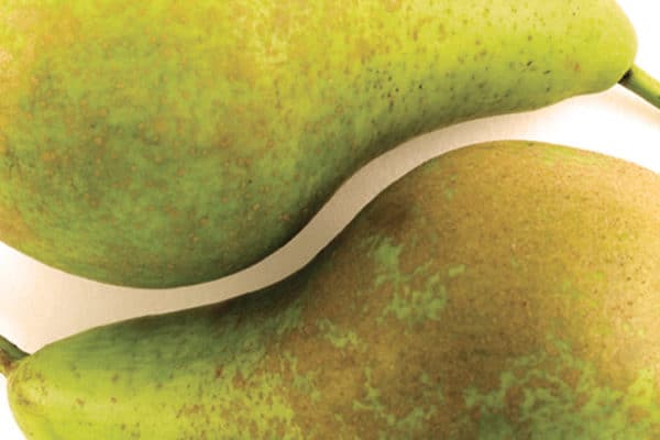 Maureen’s Story – Overcoming PCOS to get Pregnant