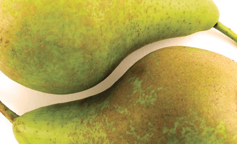 Maureen’s Story – Overcoming PCOS to get Pregnant