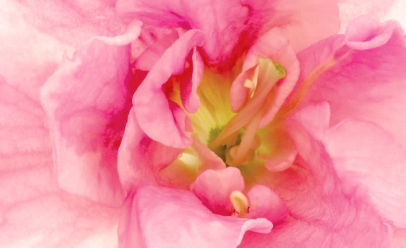 Change Your Life With This 1 Simple Step