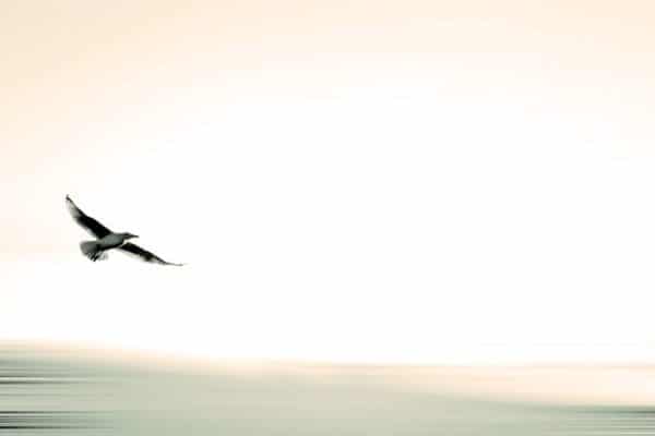 National Infertility Awareness Week 2016 - #StartAsking & A gift from Circle+Bloom