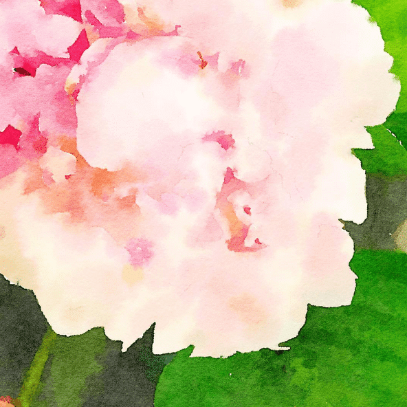 Screen Shot 2016-06-05 at 3.32.26 PM