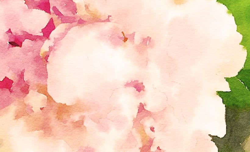 The Journey of Creating a Gratitude List