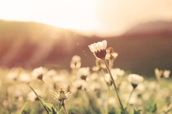 Will 2017 Be Your Best Year Ever