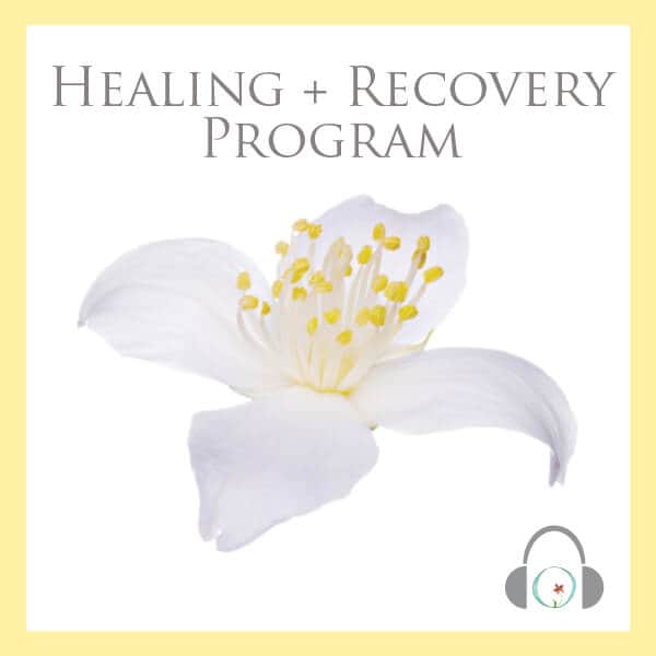 Free Fertility Healing + Recovery Program