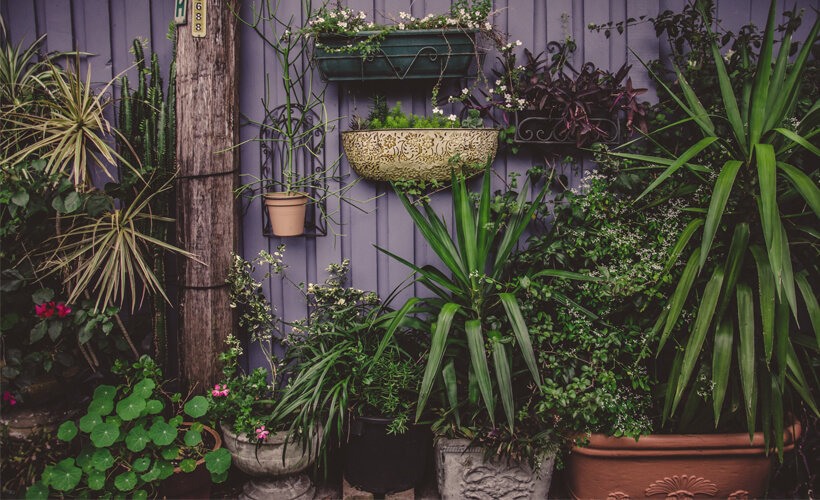 Feeling Stressed? Create Your Own Meditation Garden