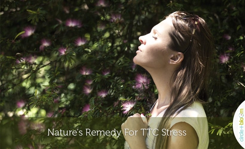 Nature’s Remedy For TTC Stress
