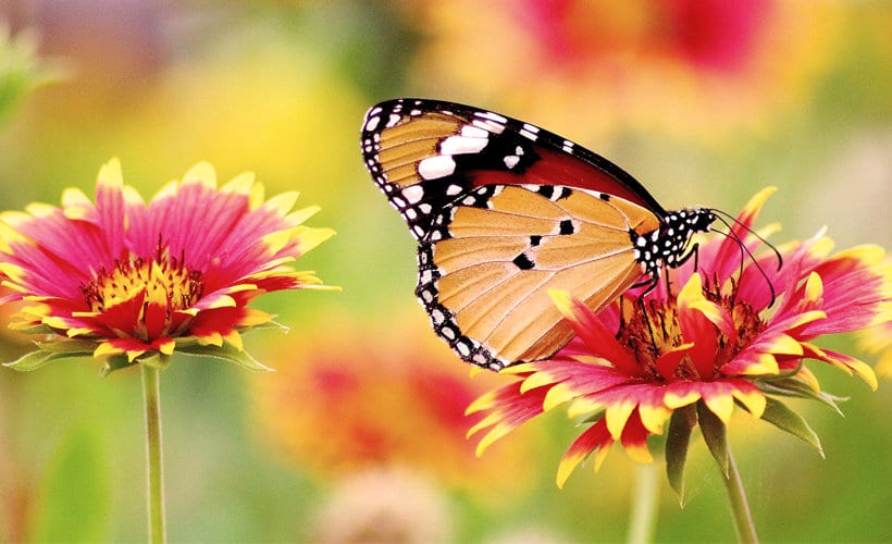 Could You Use Some Awesome Inspiration?