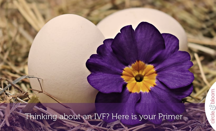 Thinking about an IVF? Here is your Primer.jpg Thinking about an IVF? Here is your Primer.psd Thinking about an IVF? Here is your Primer