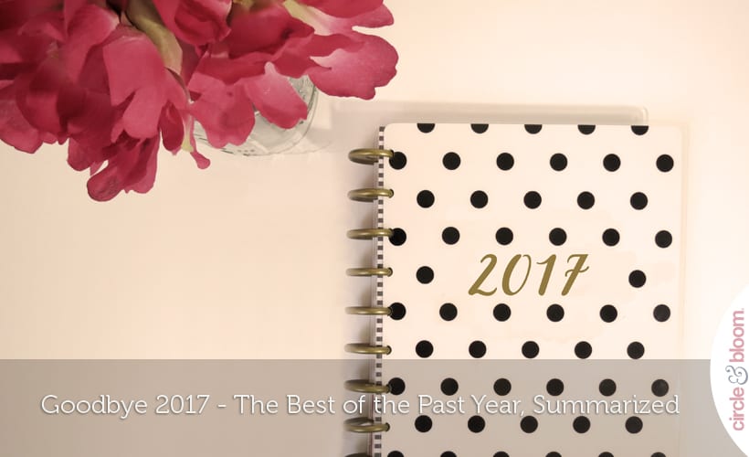 Goodbye 2017 - The Best of the Past Year, Summarized