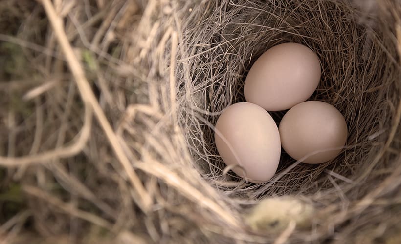 The IVF Process From Start to Finish