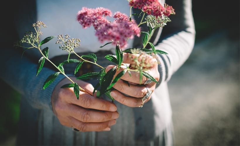 Therapy in Nature: Growing Plants for Your Health and Well-Being