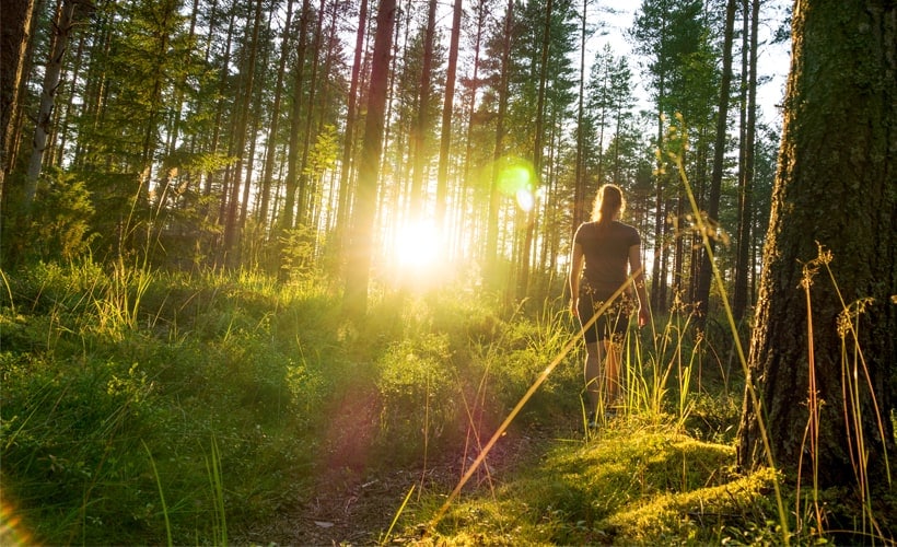 Unlock the Powerful Benefits of ‘Forest Bathing’