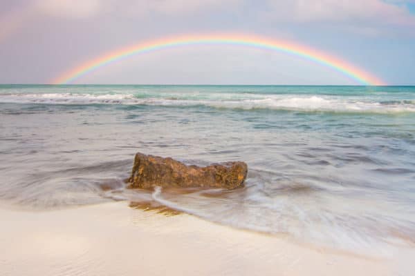 Is Combining Vacation and Fertility Treatment the Answer for you?