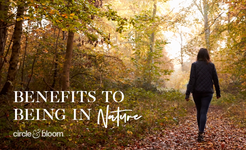 Benefits to Being in Nature