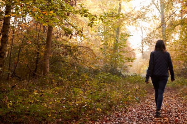 Benefits to Being in Nature