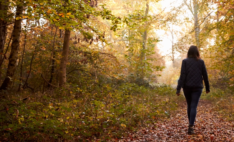 Benefits to Being in Nature