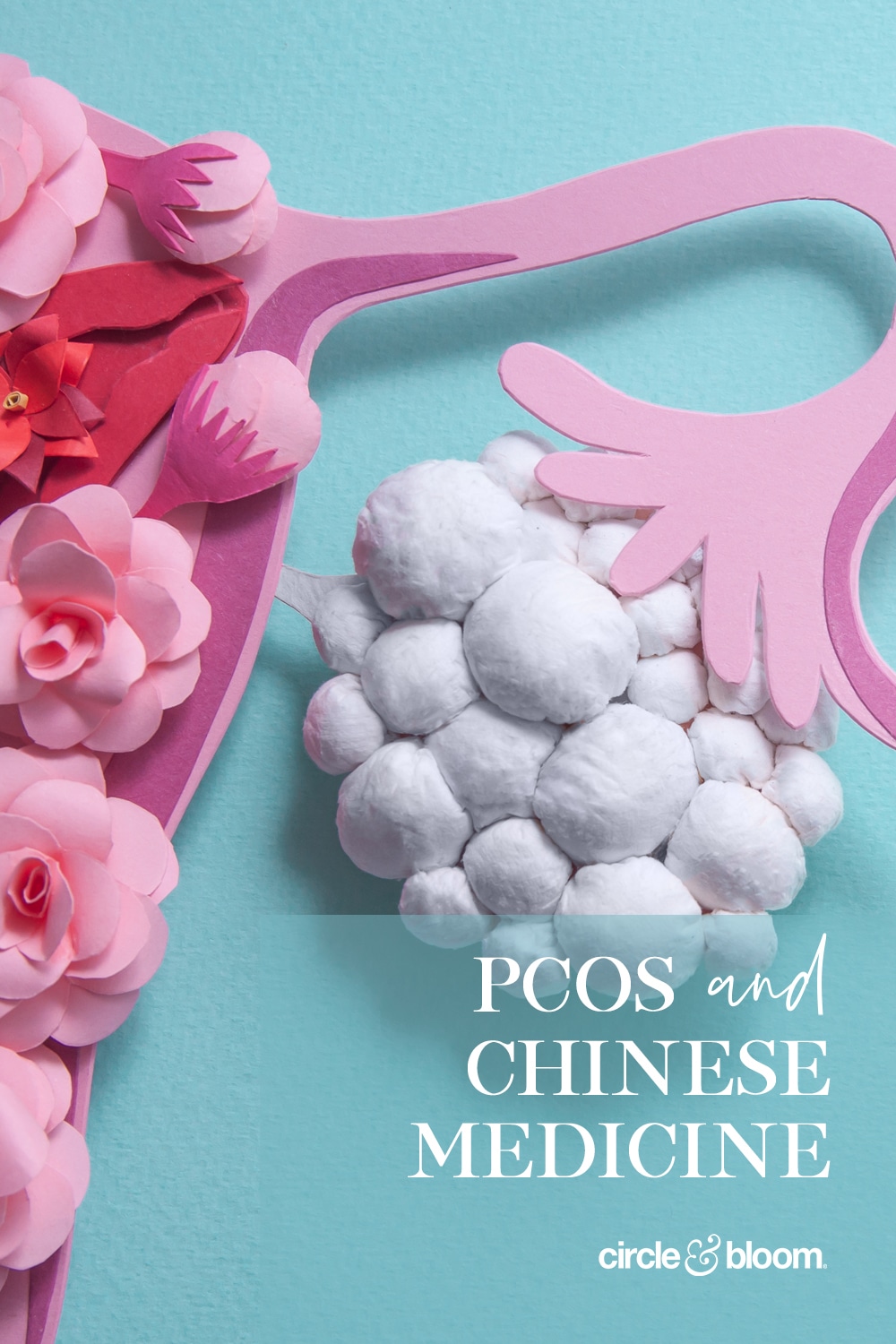 The Use of Chinese Medicine to Treat PCOS