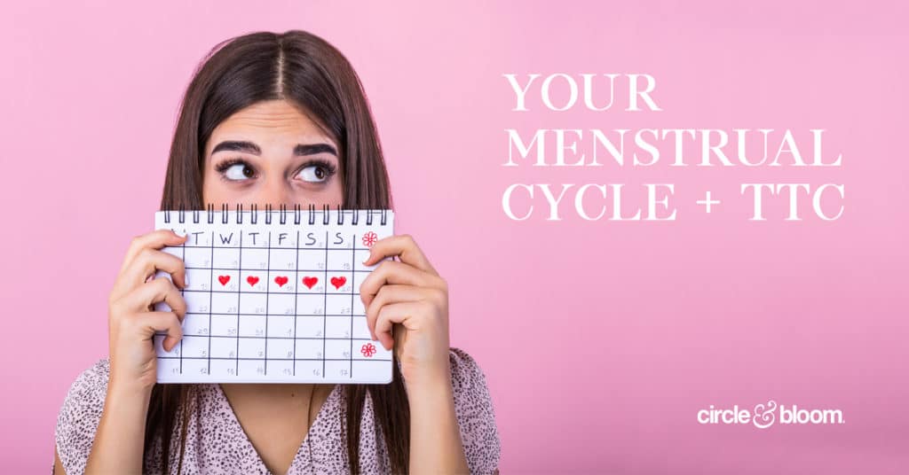 Your Menstrual Cycle and TTC