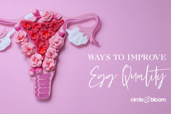 3 Overlooked Ways to Improve Egg Quality