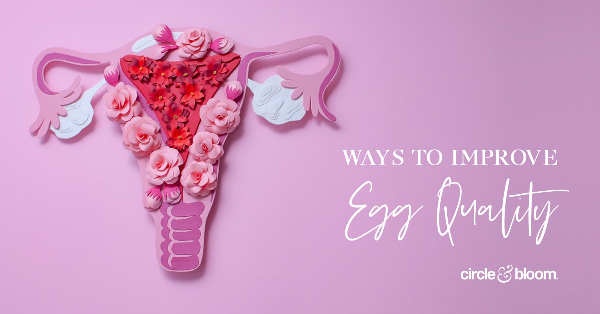 3 Overlooked Ways to Improve Egg Quality