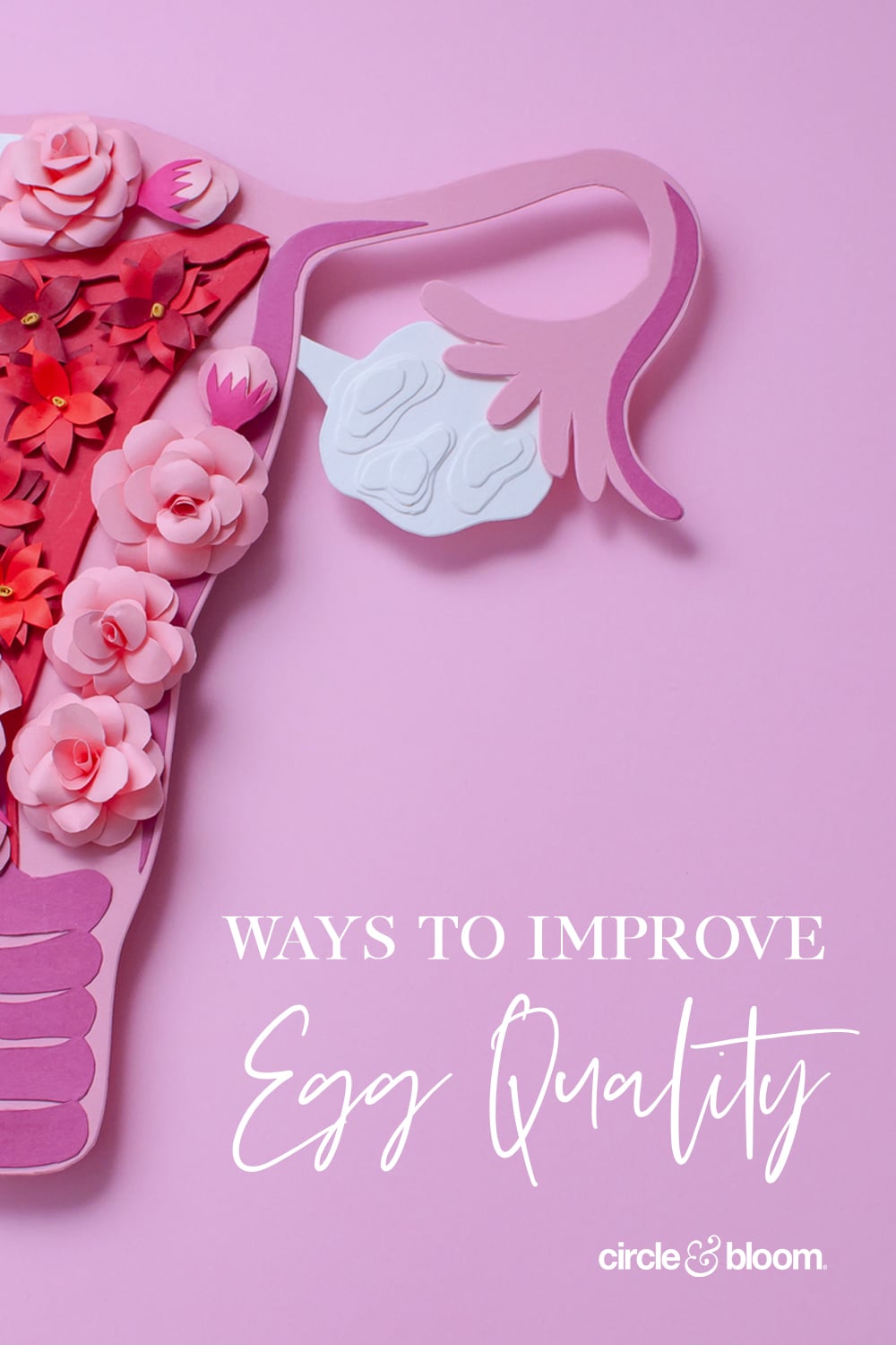 3 Overlooked Ways to Improve Egg Quality