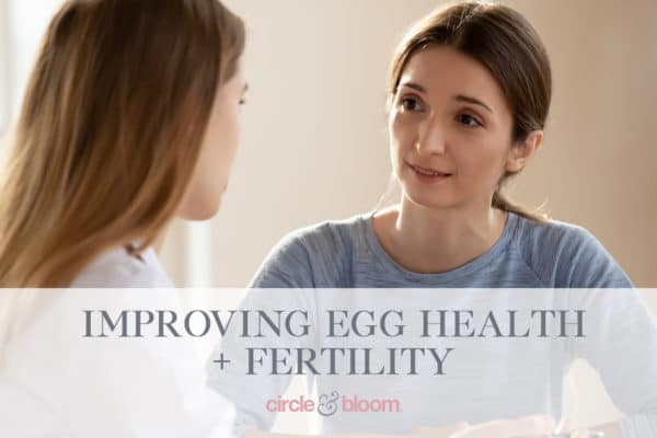 3 Ways To Improve Your Egg Health and Fertility