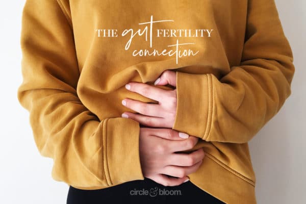 The Gut Fertility Connection