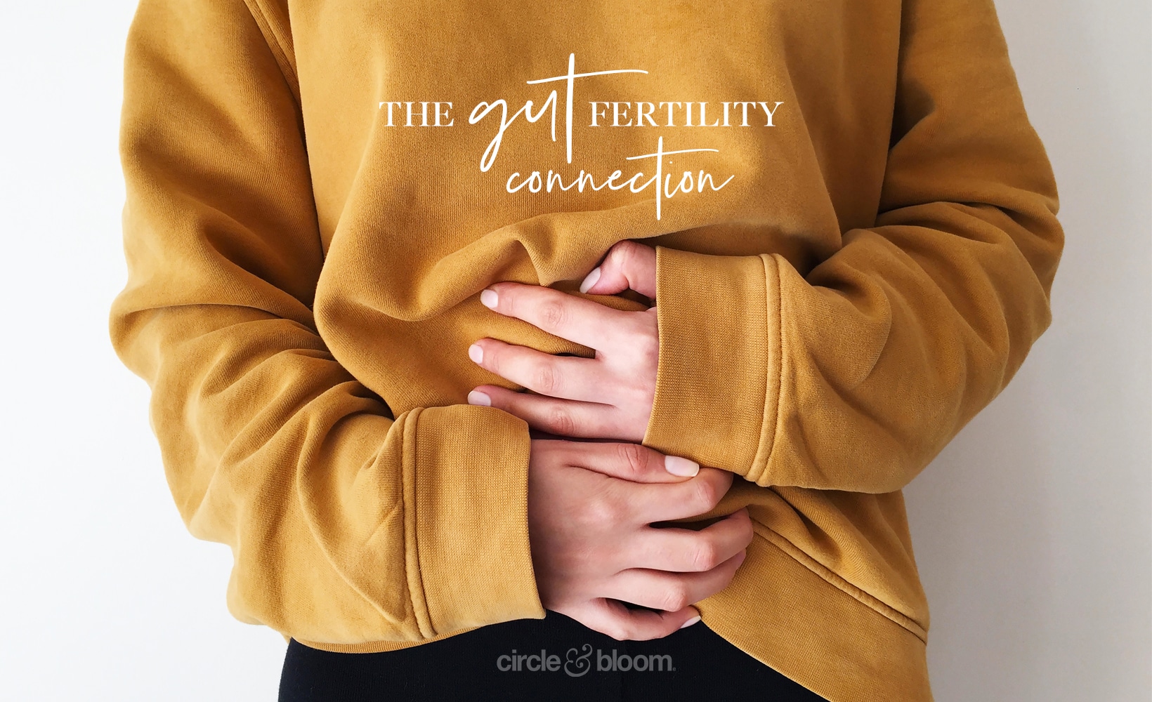 The Gut Fertility Connection