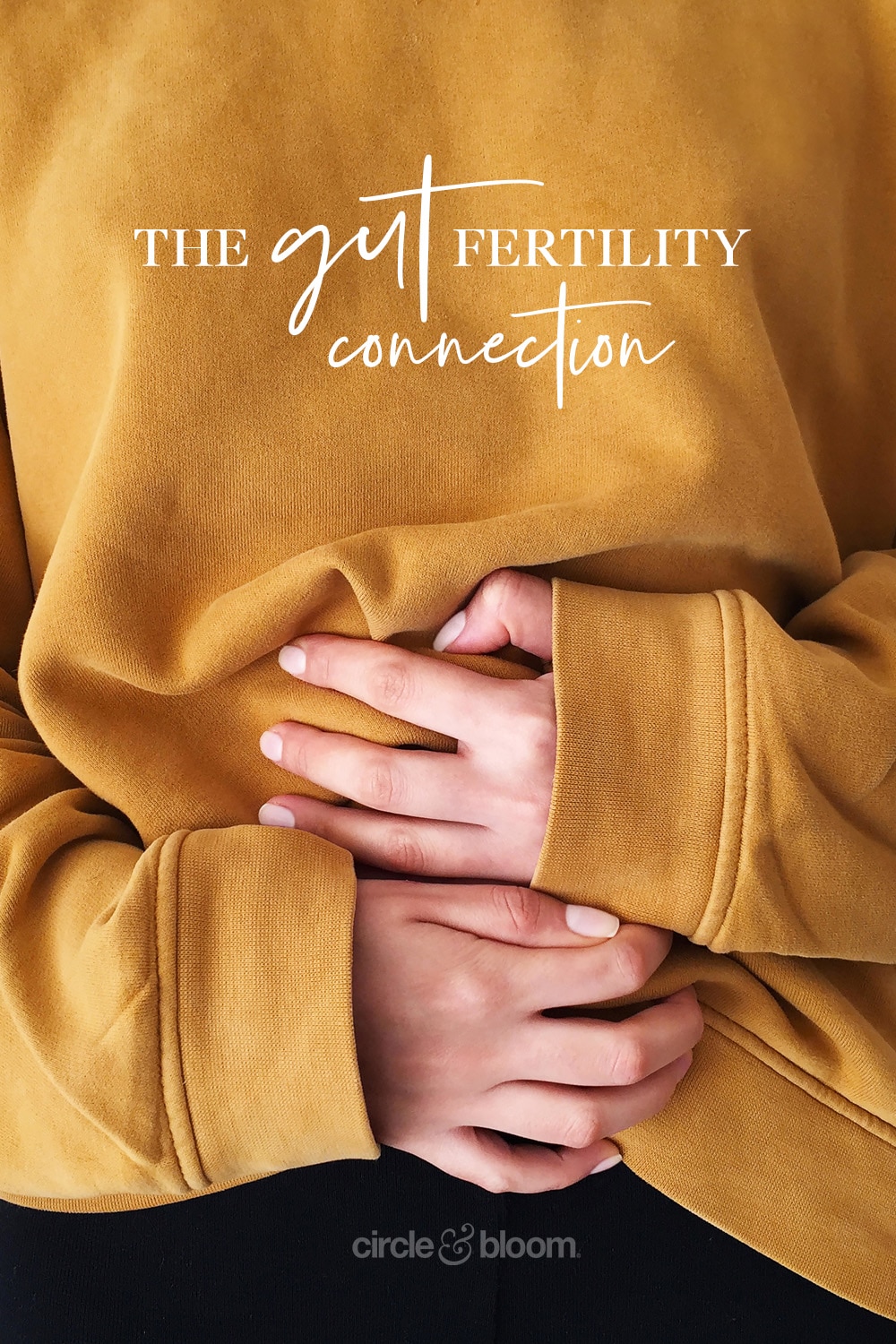 The Gut Fertility Connection