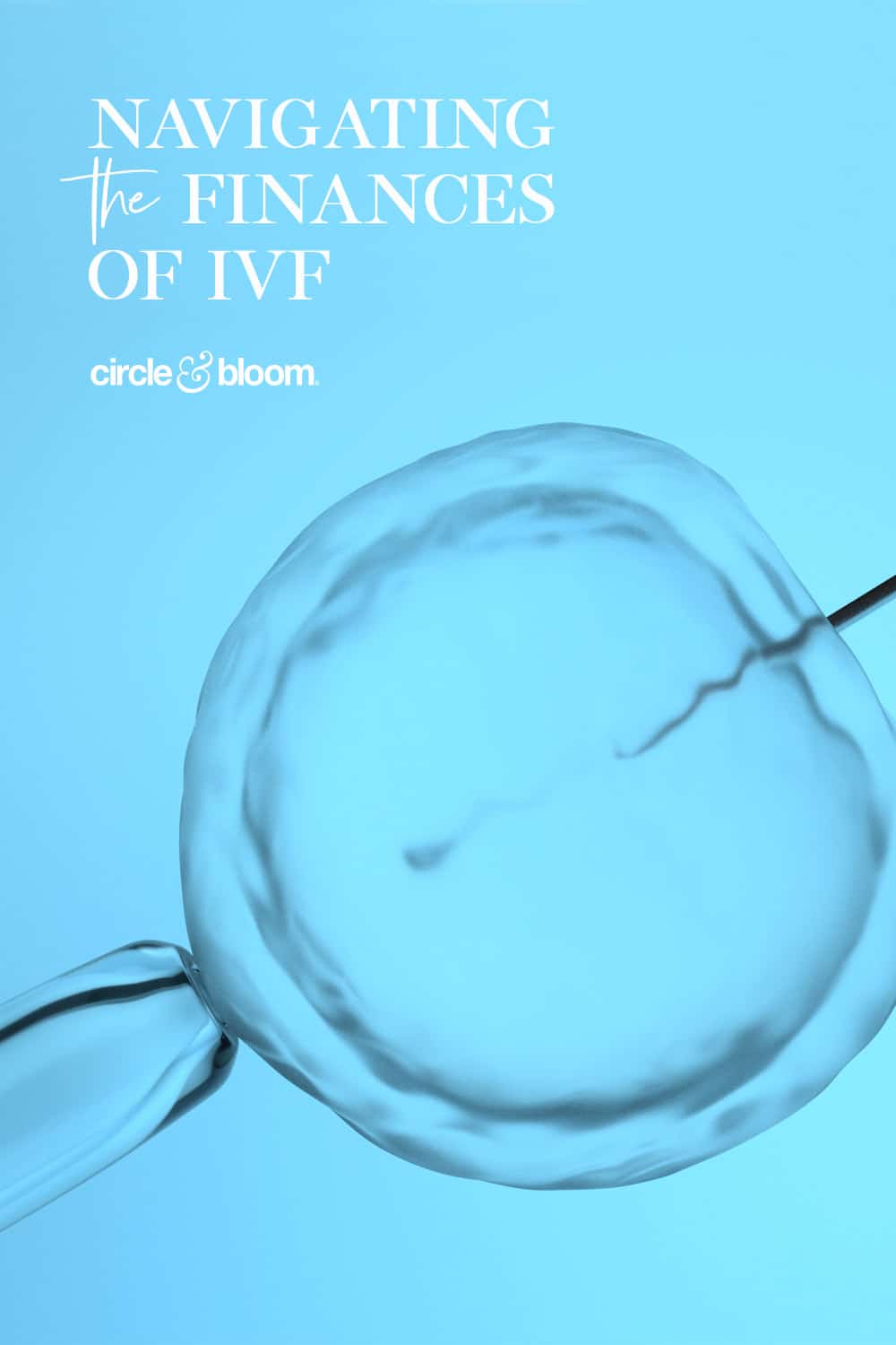 The Cost of Infertility: How to Navigate the Finances of IVF