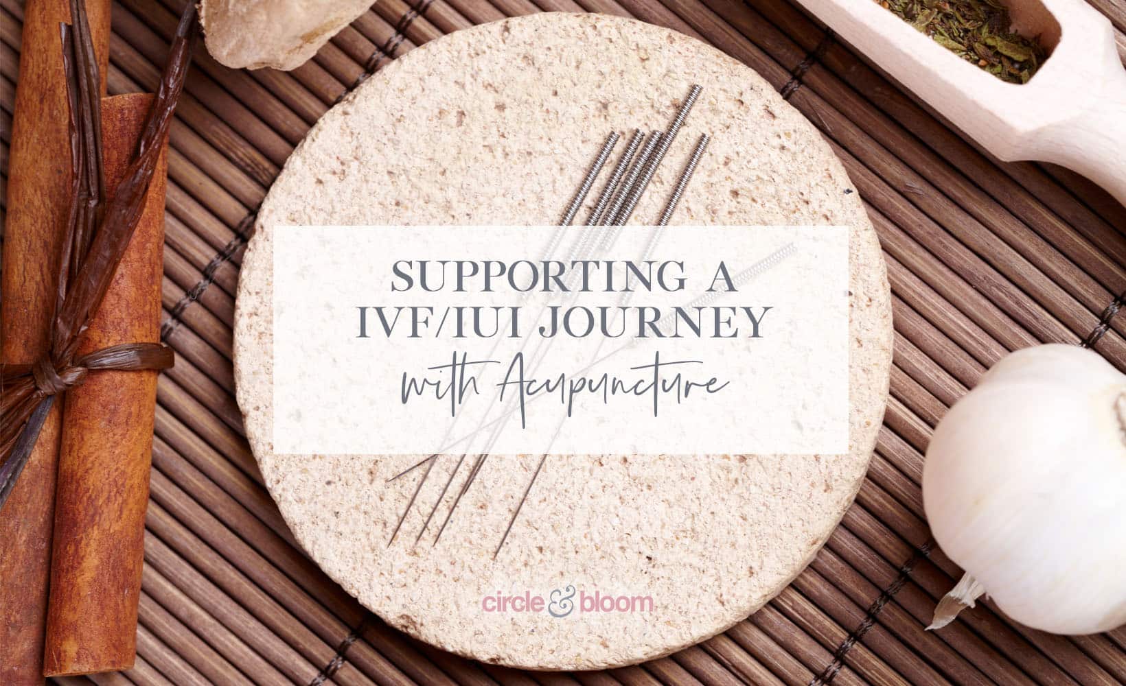3 Reasons Acupuncture Can Help Improve Your IVF/IUI Journey