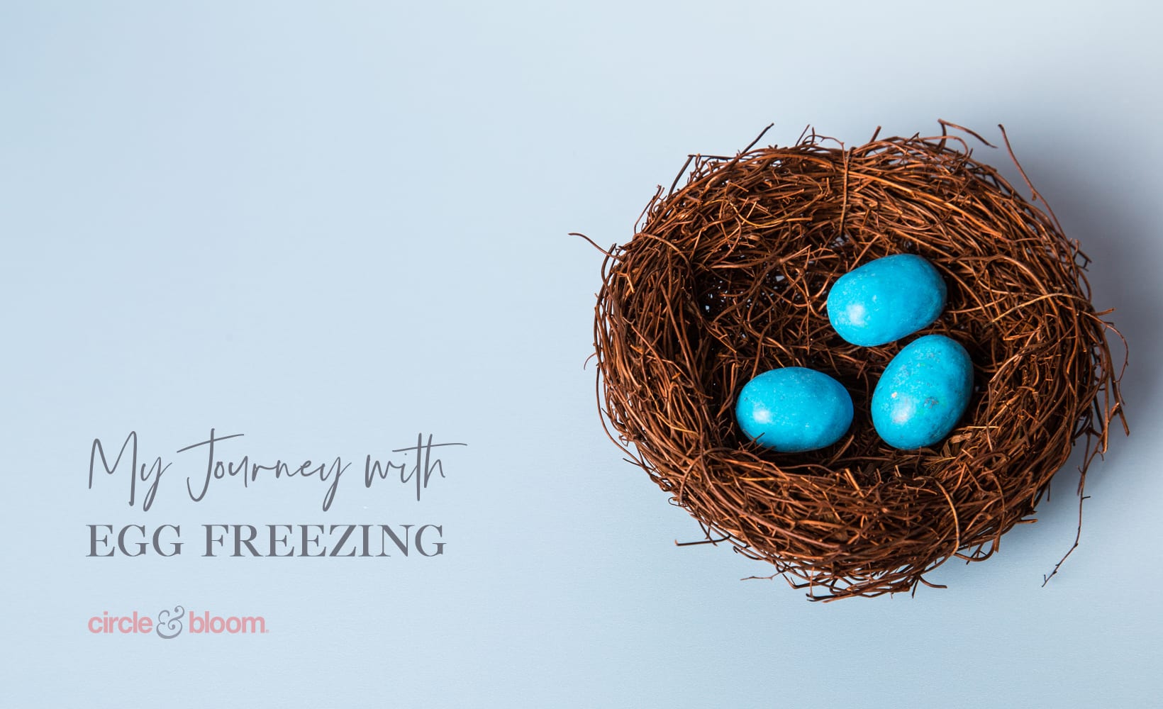 My Journey with Egg Freezing